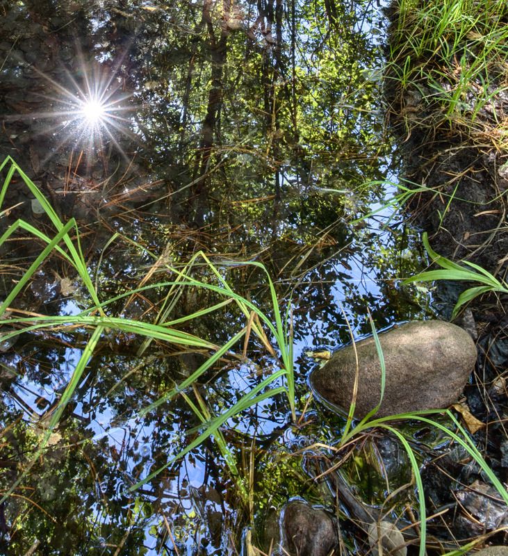 IMAGE: http://i78.photobucket.com/albums/j100/kbtrans/Middle%20Colony%20Creek%20August%202016-9512_zpsr7kxnl6a.jpg