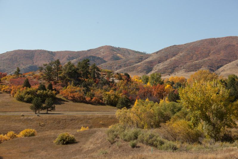 IMAGE: http://i78.photobucket.com/albums/j100/kbtrans/October.jpg