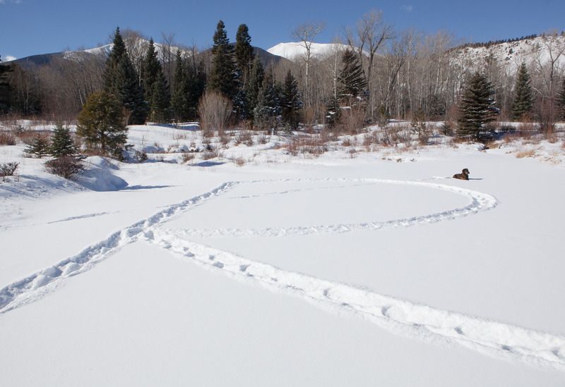 IMAGE: http://i78.photobucket.com/albums/j100/kbtrans/R%20%201%20of%201_zpsykddwwbi.jpg