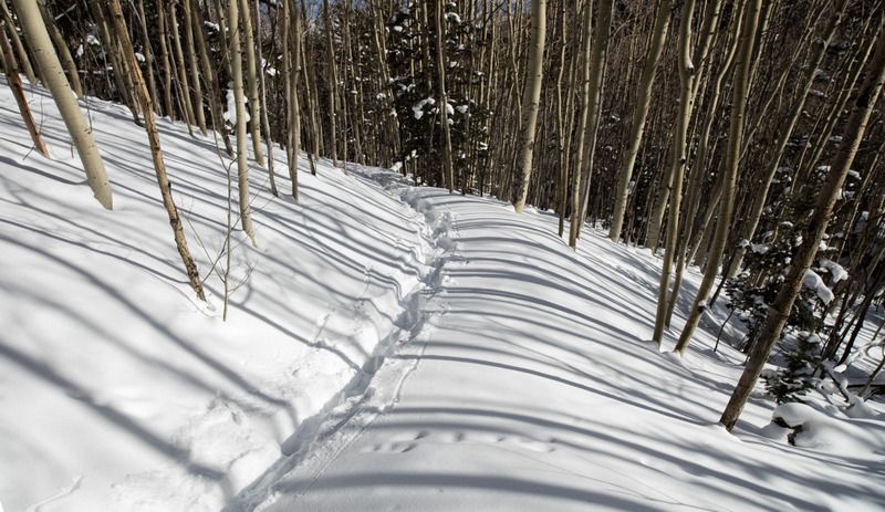 IMAGE: http://i78.photobucket.com/albums/j100/kbtrans/Venerable%20Falls%20aspen%20shadows%20snow%202%202015-9805_zpsuzxgfzwn.jpg