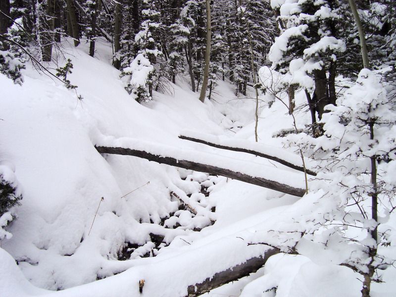 IMAGE: http://i78.photobucket.com/albums/j100/kbtrans/alvaradosnowfall3.jpg