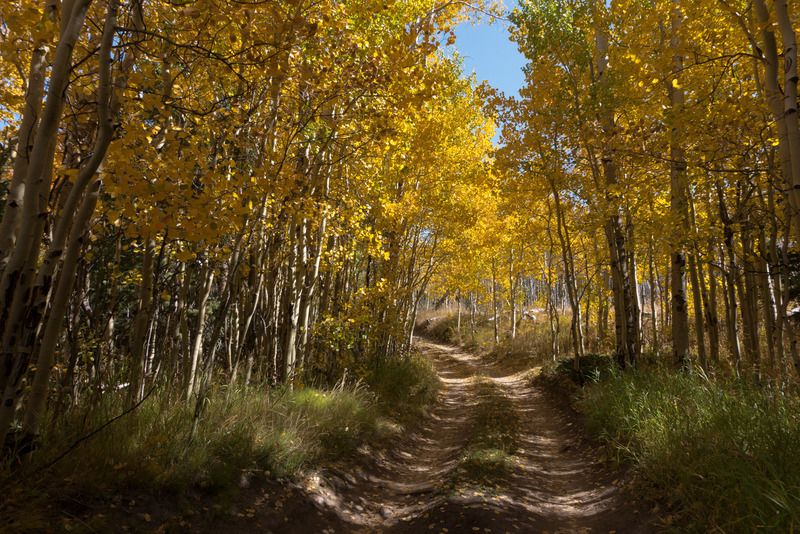 IMAGE: http://i78.photobucket.com/albums/j100/kbtrans/medano%20primitive%20road%20full%20fall-01793_zps1np6mhcc.jpg