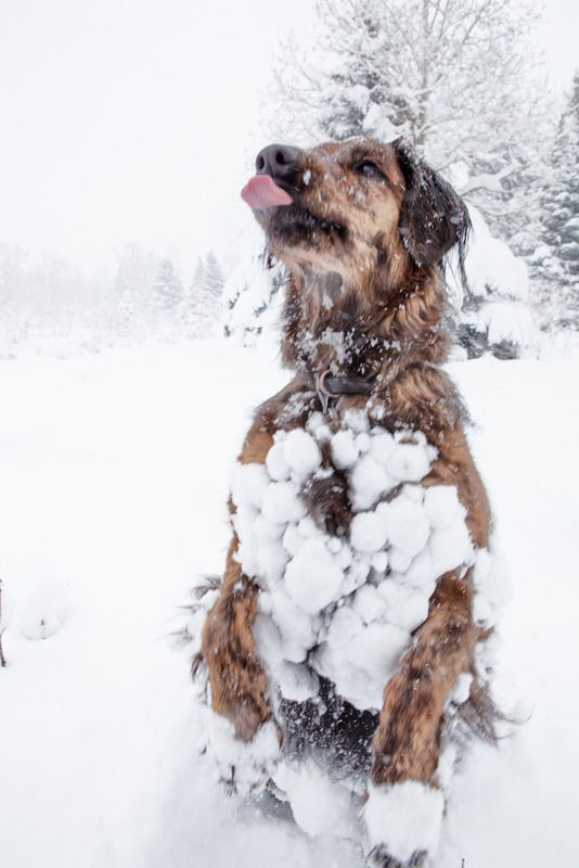 IMAGE: http://i78.photobucket.com/albums/j100/kbtrans/sophie%20bauble-_zps5clffkaw.jpg