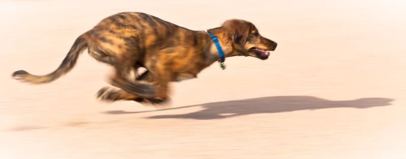 IMAGE: http://i78.photobucket.com/albums/j100/kbtrans/sophie17weeksaction.jpg