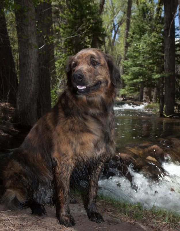 IMAGE: http://i78.photobucket.com/albums/j100/kbtrans/sophiecreek-5565_zpsc8c77e72.jpg