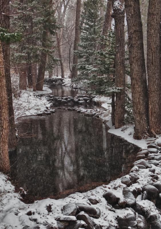 IMAGE: http://i78.photobucket.com/albums/j100/kbtrans/theyard-2_zps8e2947b2.jpg