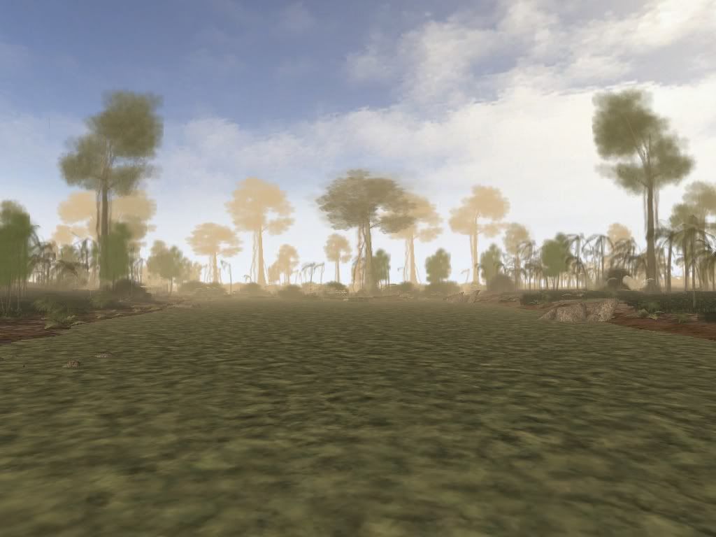 swamp.jpg