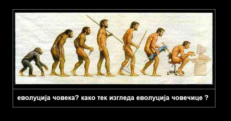 Постављена слика
