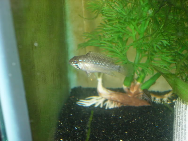 DSCN2517.jpg
