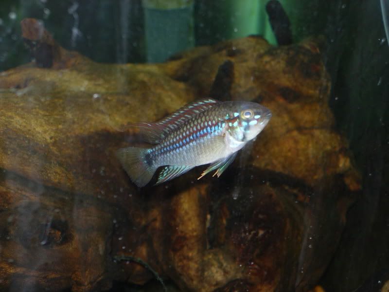 DSCN2624.jpg