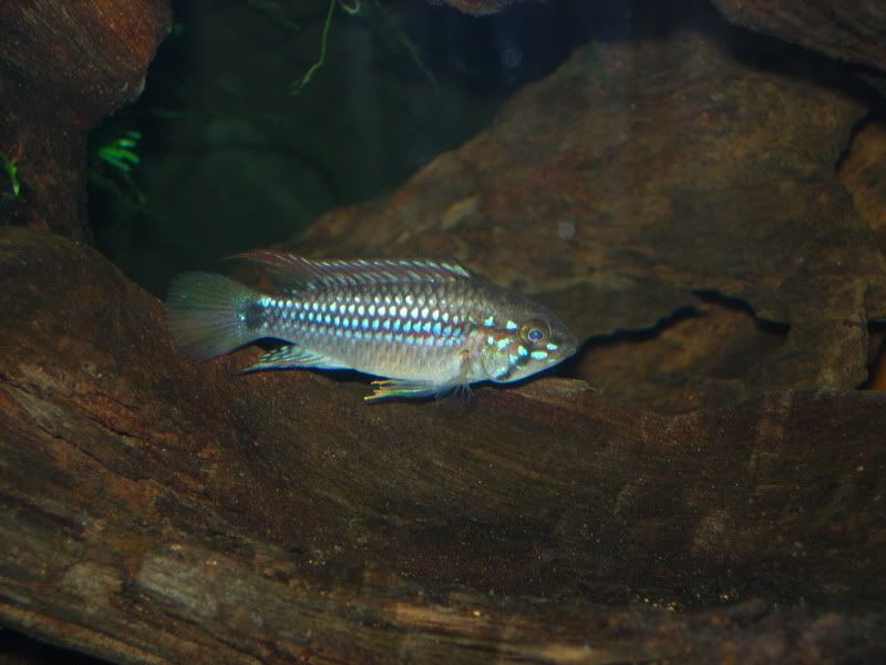 DSCN2625.jpg