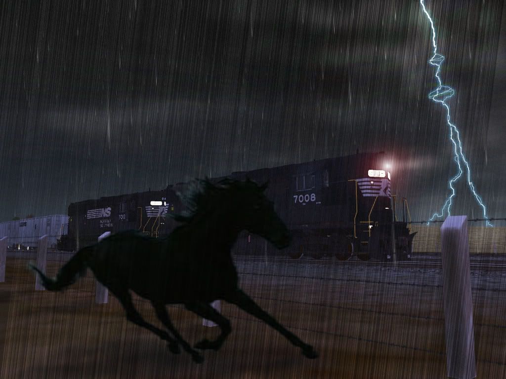 Thoroughbred.jpg