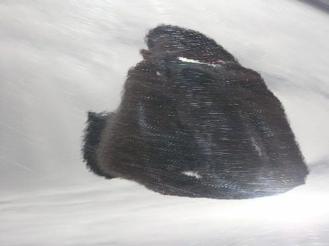 P4140243.jpg