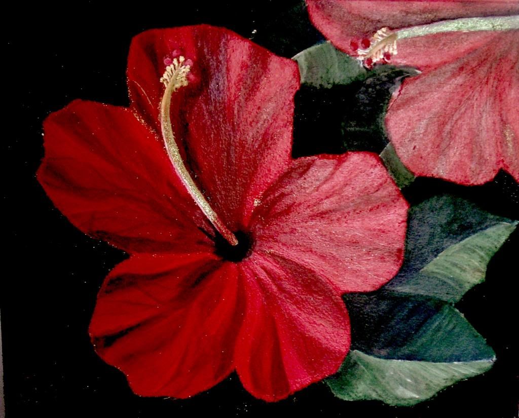 Red Hibiscus photo RedHibiscusPainting.jpg