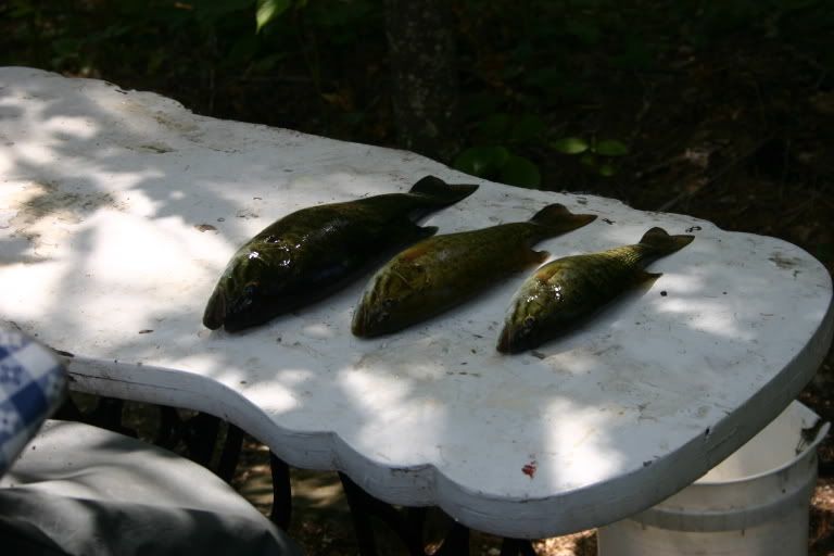 Lake Pemichigan, (Pemi), Point Comfort, Quebec 18 27 August Tidal