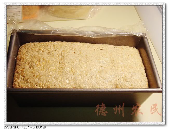 70%黑麦全麦包（天然酵种）－ <wbr>饲料也美味