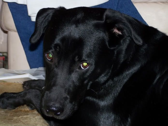 User submitted image User submitted image