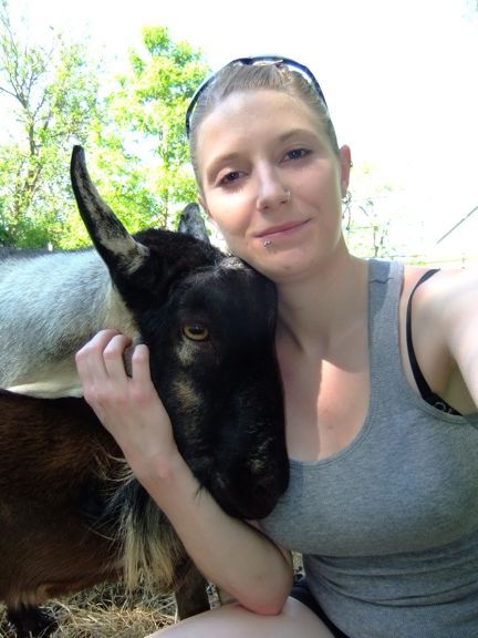 If you could choose any herdsire from ANYWHERE without - Goats