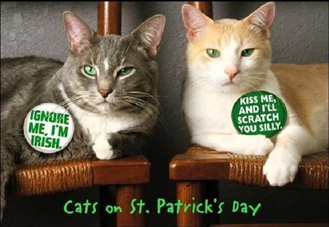 catsonstpatricksdayCustom.jpg
