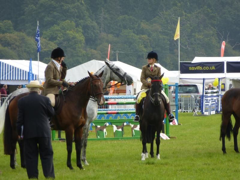 henleyshow2015009_zps834c0ebd.jpg