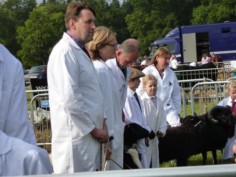 henleyshow2015012_zps226a417c.jpg