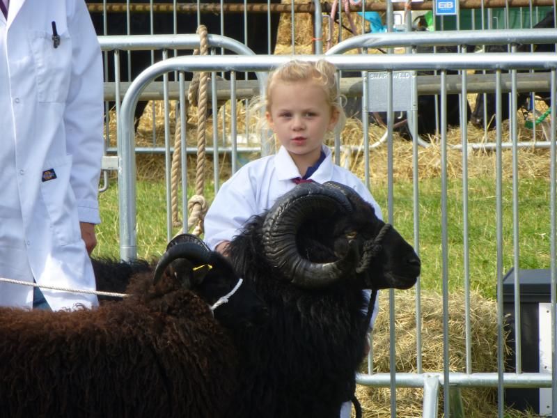 henleyshow2015013_zps97b8be8b.jpg