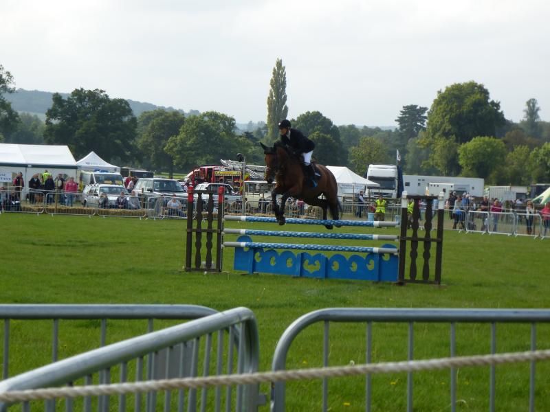 henleyshow2015019_zpsc34199c6.jpg