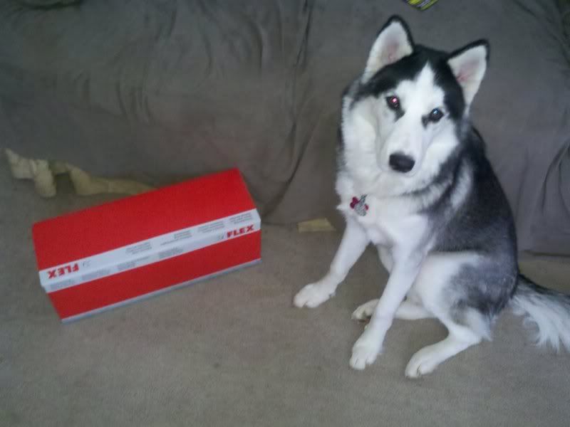 542978159_photobucket_36994_.jpg