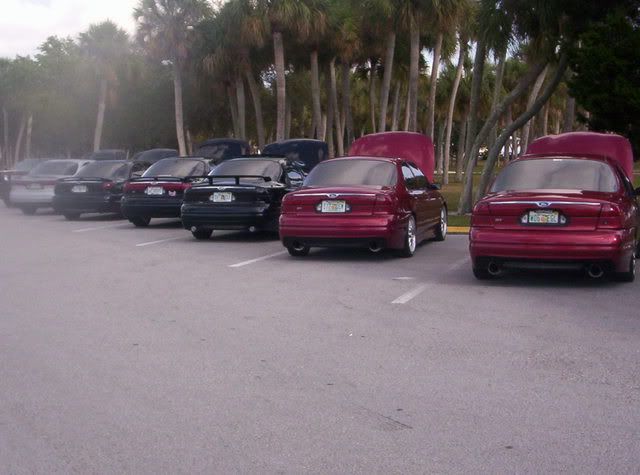 Picture203.jpg
