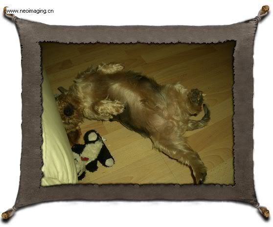 Photo Sharing and Video Hosting at Photobucket