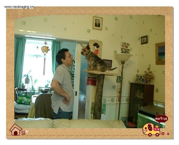 Photo Sharing and Video Hosting at Photobucket