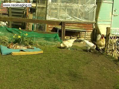 Photo Sharing and Video Hosting at Photobucket