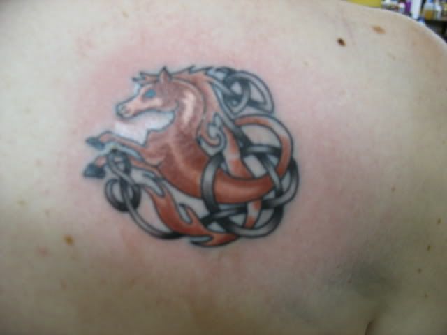 Celtic Tattoos Tattoo Pictures Funny Pictures Gallery: The Celtic horse