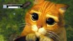 pussashamed.jpg