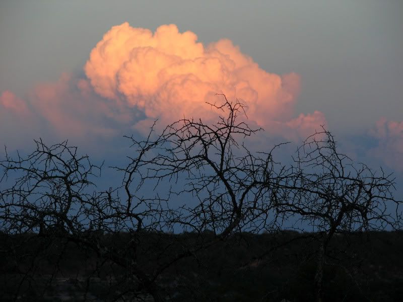 IMAGE: http://i78.photobucket.com/albums/j116/spur_5918/POTN/IMG_3735A.jpg