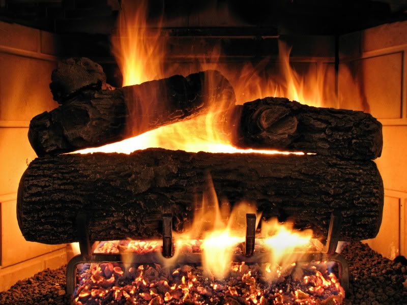 IMAGE: http://i78.photobucket.com/albums/j116/spur_5918/POTN/IMG_4163B.jpg