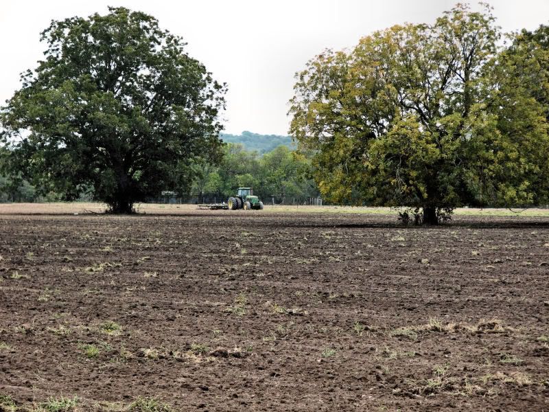 IMAGE: http://i78.photobucket.com/albums/j116/spur_5918/POTN/IMG_4404A.jpg