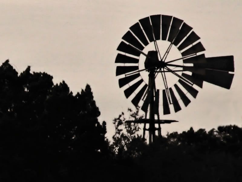 IMAGE: http://i78.photobucket.com/albums/j116/spur_5918/POTN/IMG_4810A.jpg