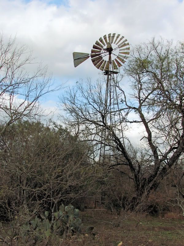 IMAGE: http://i78.photobucket.com/albums/j116/spur_5918/POTN/IMG_5211A.jpg