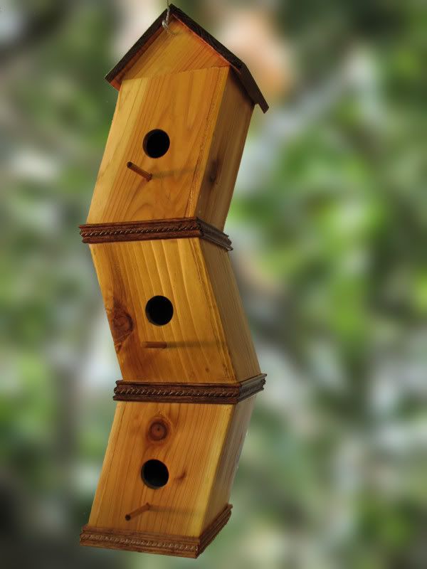 IMAGE: http://i78.photobucket.com/albums/j116/spur_5918/POTN/IMG_6540A.jpg