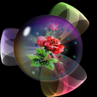 10.gif