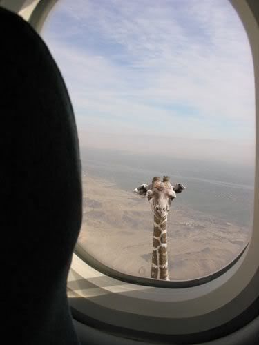 How do you know you"re flying over Africa?
