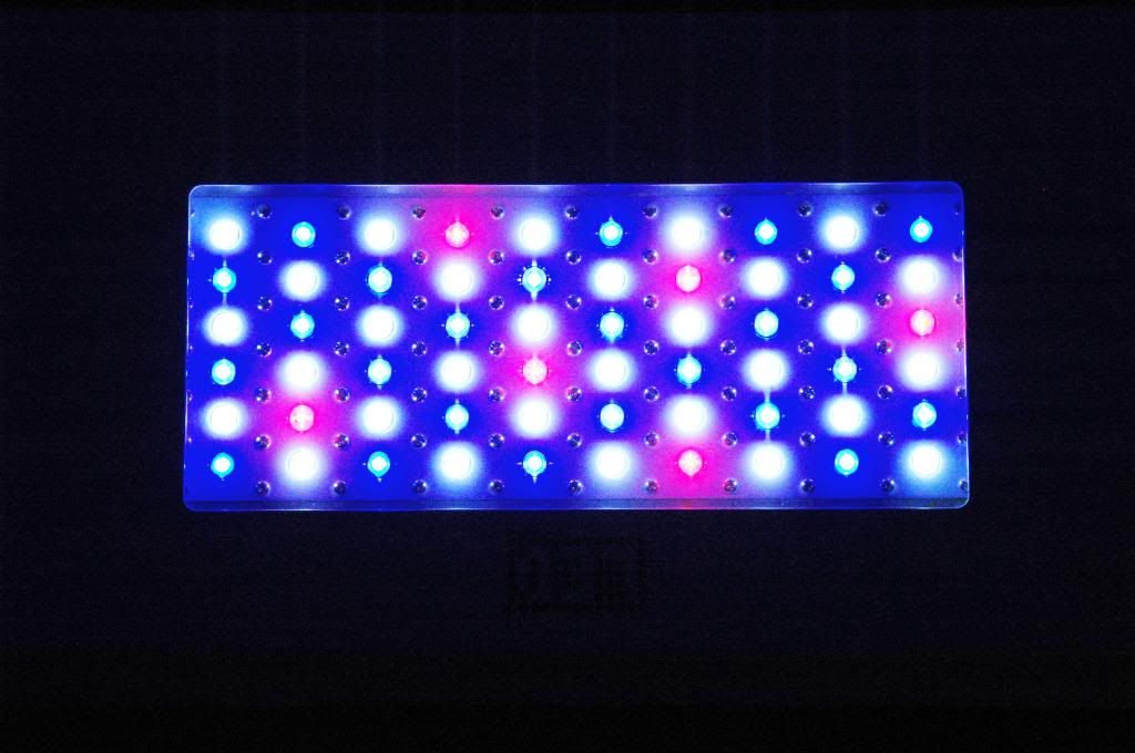 ขายไฟ LED sun led king 60w สีขาว