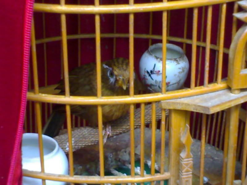 24042011305.jpg