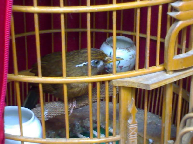 24042011306.jpg
