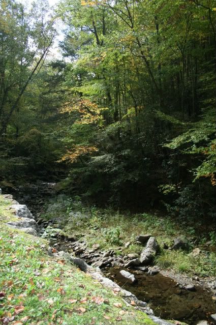 IMAGE: http://i78.photobucket.com/albums/j119/dpmx21/101108016-1.jpg