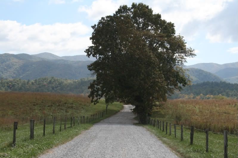 IMAGE: http://i78.photobucket.com/albums/j119/dpmx21/101108059-1.jpg