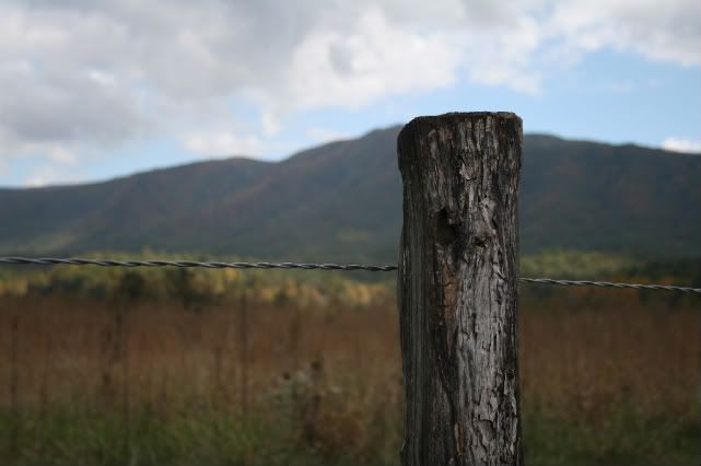 IMAGE: http://i78.photobucket.com/albums/j119/dpmx21/101108066-1.jpg