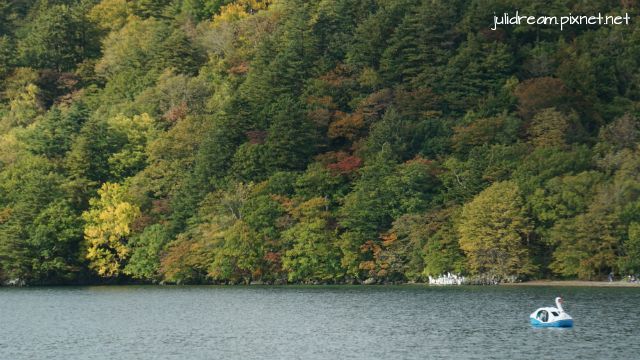 2018十月 十六天獨遊日本東北想楓 (十和田湖遊覽船)