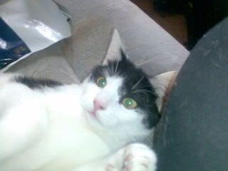 [img width=320 height=240]http://i78.photobucket.com/albums/j120/harley8118/Afb447.jpg[/img]